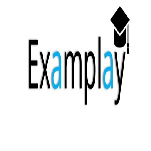 examplay final logo